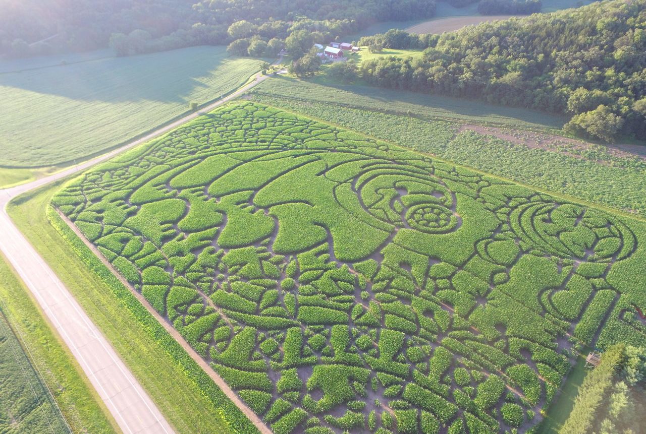 Wisconsin S Tardigrade Corn Maze Mental Floss