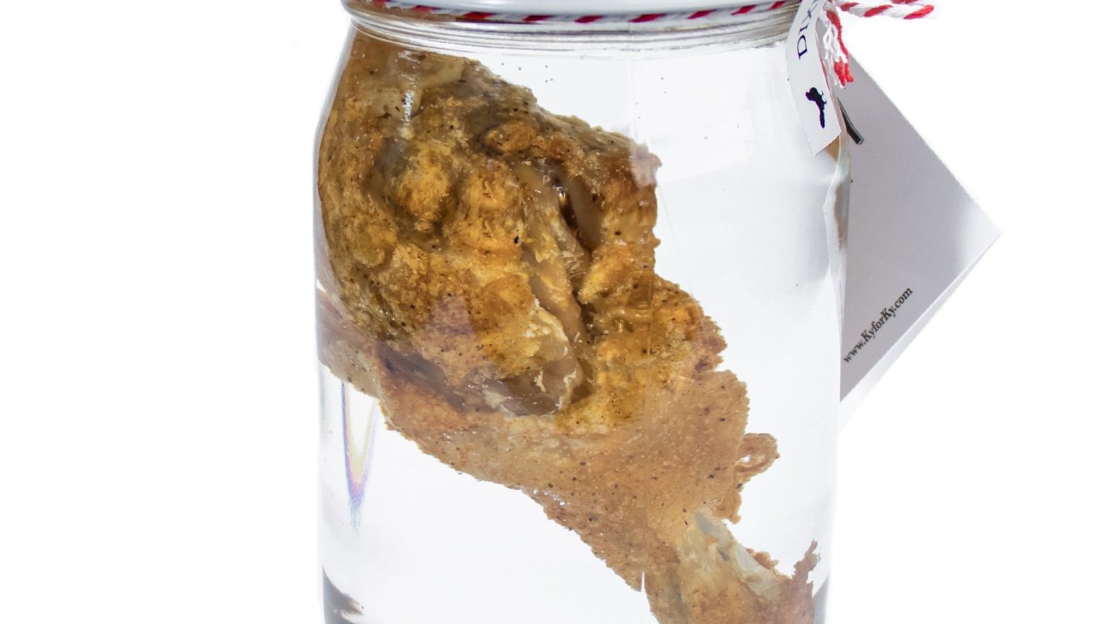 A ResinPreserved KFC Drumstick Can Be Yours for 100 Mental Floss