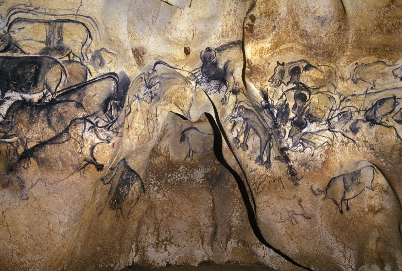 Ice Age Artists Used Charcoal Over 10 000 Years To Create Europe S