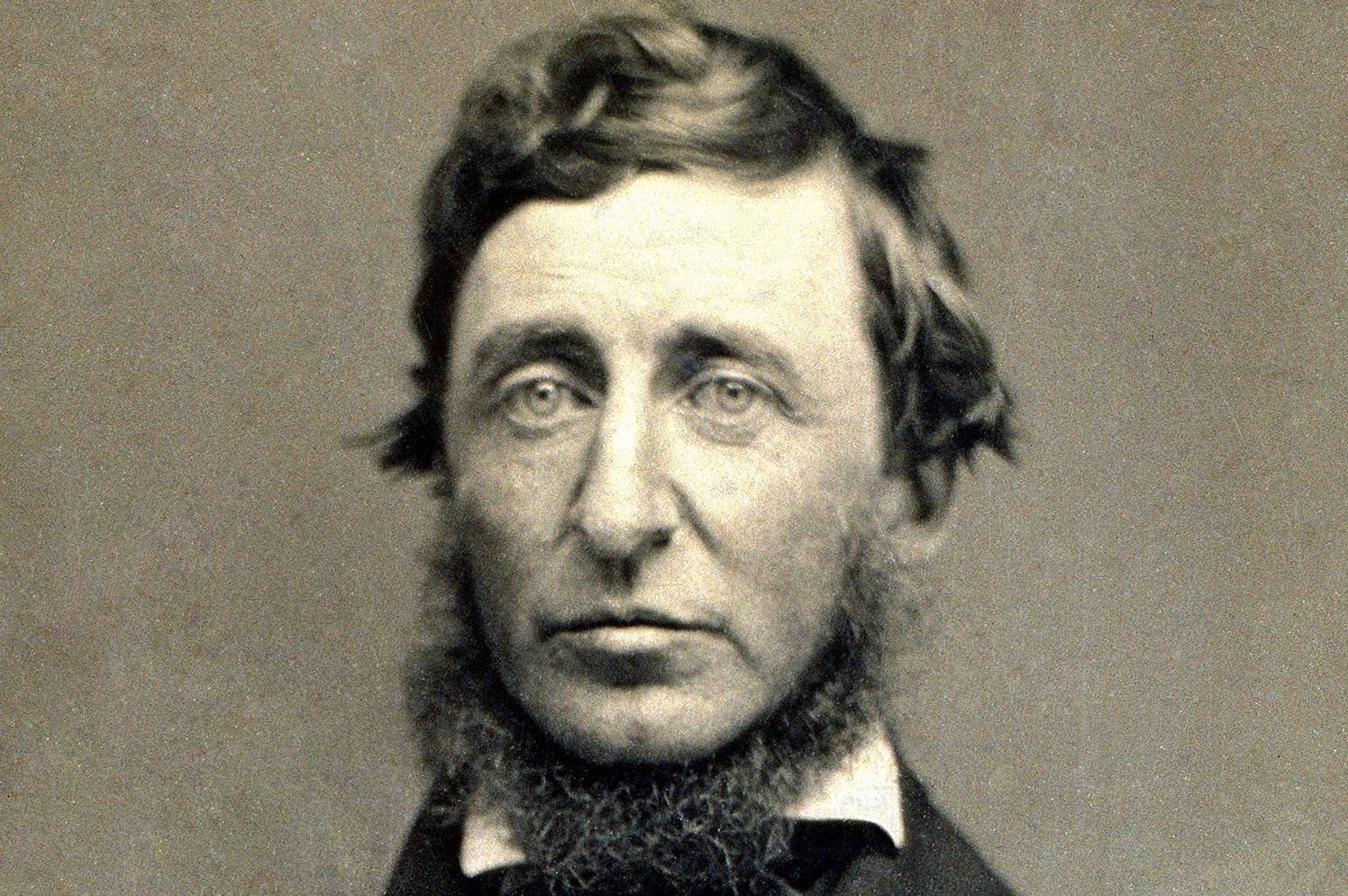Henry David Thoreau ile ilgili gÃ¶rsel sonucu