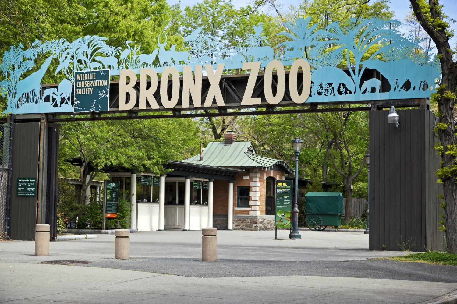 bronx zoo s:3 e:5