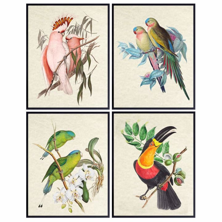 Tropical bird prints