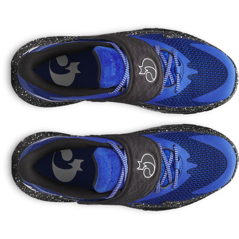 アメリカ限定 CURRY２LOW 28cm カリー LDRS warriors 海外限定 CURRY2LOW 28cm カリー LDRS warriors 靴