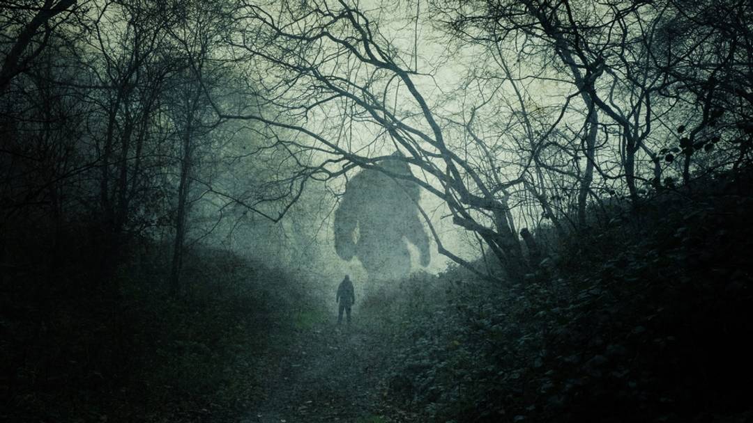A dark, atmospheric concept of a huge bigfoot monster. Silhouetted in a forest. With a person looking up at them. On a spooky, foggy winters day. A dark, atmospheric concept of a huge bigfoot monster. Silhouetted in a forest. With a person looking up at them. On a spooky, foggy winters day.