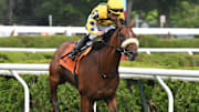 Multiple Grade 1-winner Far Bridge validated his 1-2 favoritism with a commanding victory in the Grade 2, $200,000 Bowling Green at Saratoga Race Course.