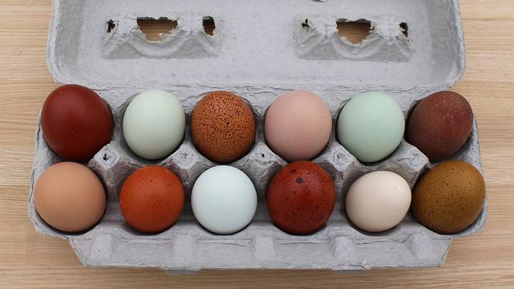 Colorful chicken eggs in a carton