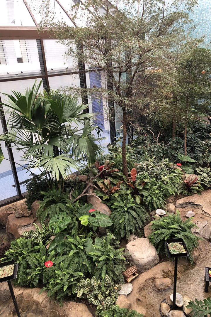 The Bird-Friendly Coffee Farm Aviary at the National Zoo.