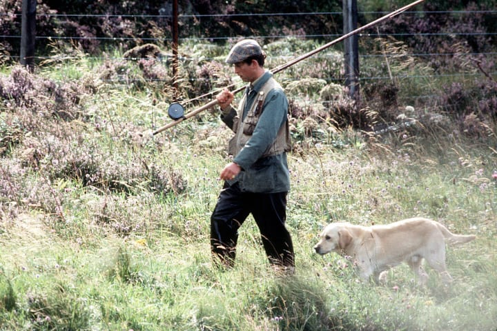 Prince Prince Charles, Prince of Wales and a Labrador retriever