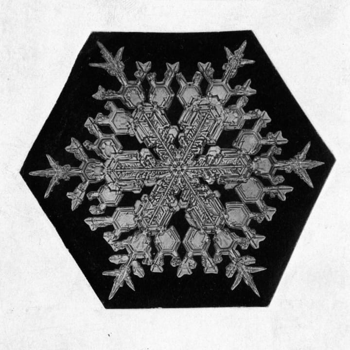 Close-up Of A Snowflake