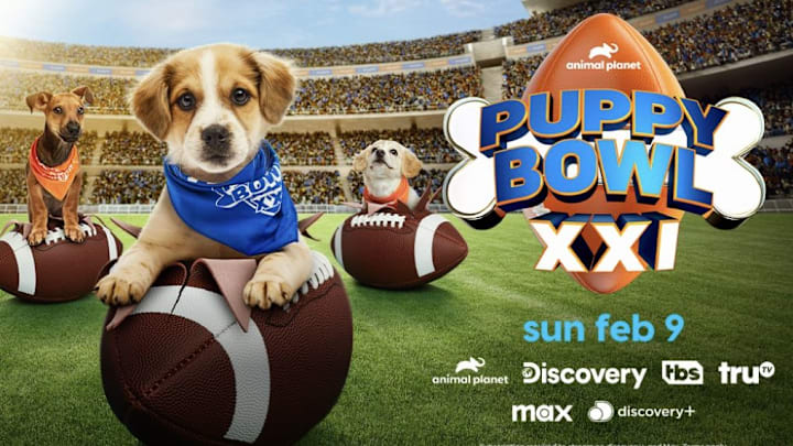 Puppy Bowl XXI