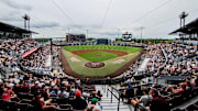 Mississippi State Fans during the game between the Ole Miss Rebels and the Mississippi State Bulldogs at Dudy Noble Field at Polk-Dement Stadium in Starkville, MS.