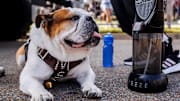 Bully XXII, Dak, during the game between the UMass Minutemen and the Mississippi State Bulldogs at Davis Wade Stadium at Scott Field in Starkville, MS.