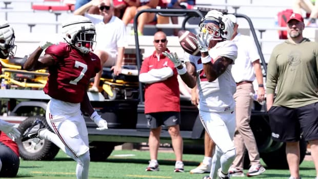 Ryan Williams catches pass in scrimmage