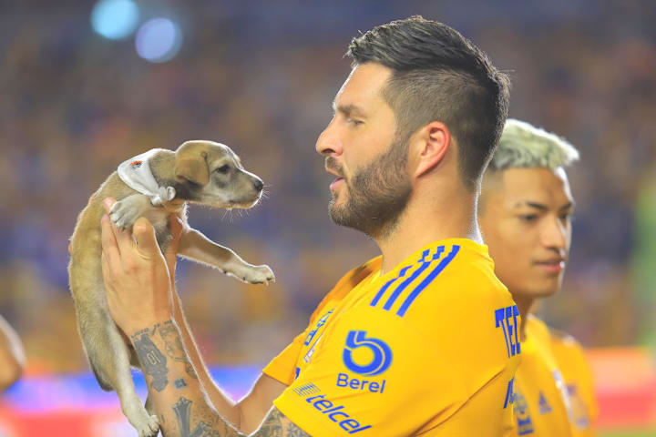 Andre-Pierre Gignac