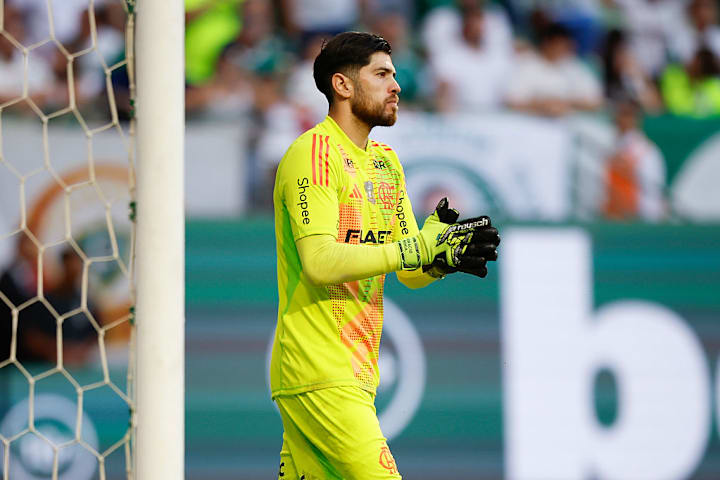 Palmeiras v Flamengo - Brasileirao 2025