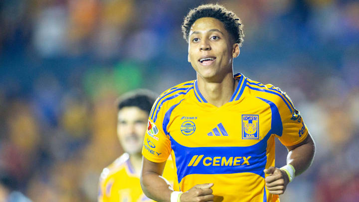 FBL-MEX-TIGRES-PACHUCA