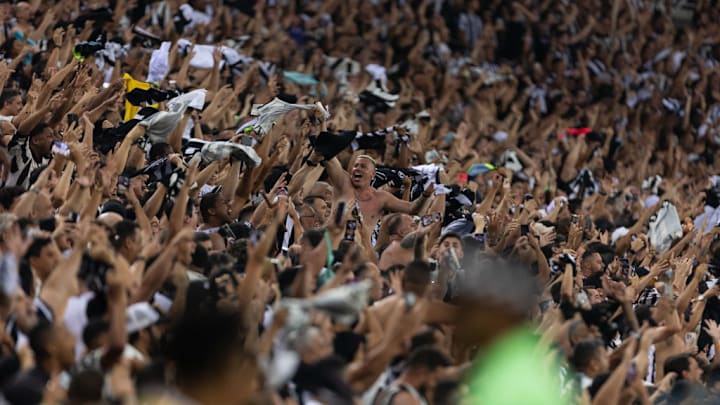 Botafogo v Criciuma - Brasileirao 2024