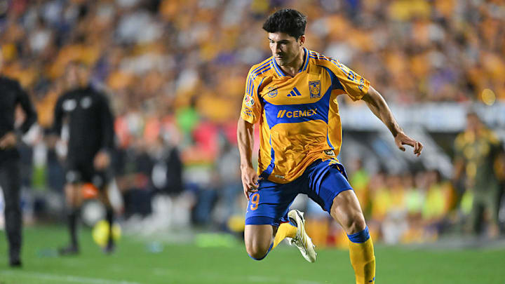 Nicolás Ibáñez