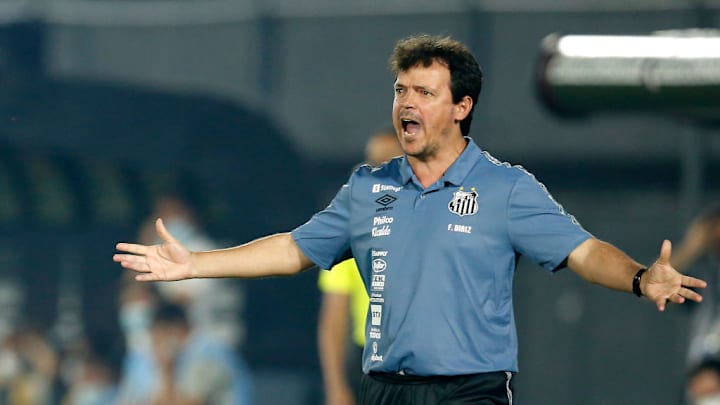 Fernando Diniz Silva