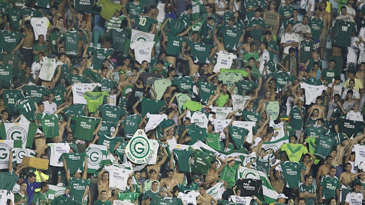 Goias v Avai - 2010 Copa Nissan Sudamericana