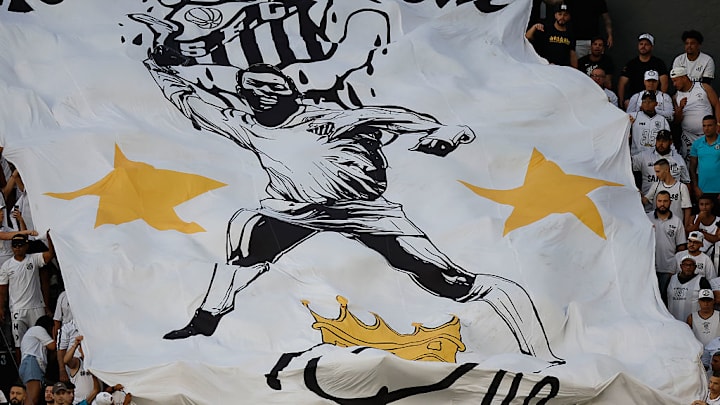 Santos v Botafogo - Brasileirao 2025