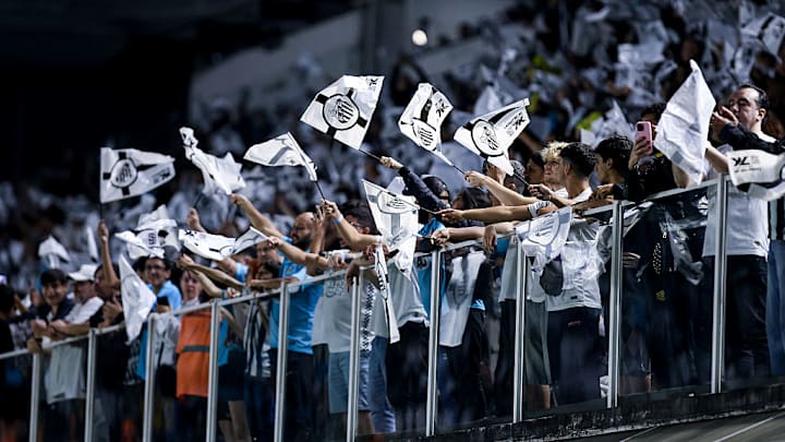 Santos v Flamengo - Brasileirao 2025