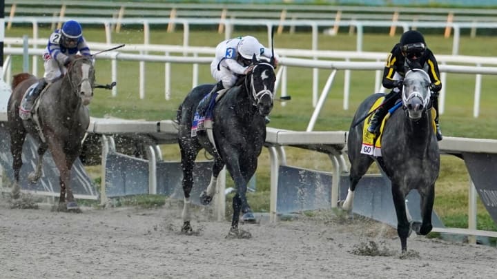 Kentucky Derby prep race recap of the 2023 Florida Derby and winner Forte.
