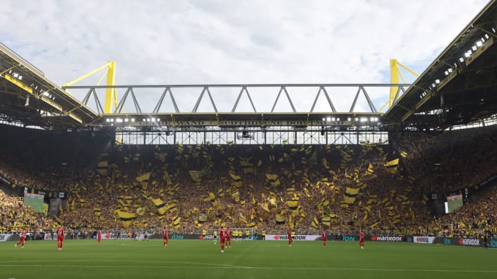 Borussia Dortmund v 1. FC Köln - Bundesliga