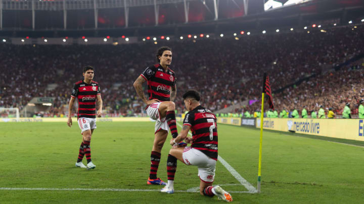 Luiz Araujo, Pedro