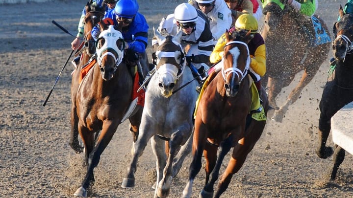 Horse Racing Picks from the Fair Grounds on Saturday, Feb. 18 including the $400,000 Risen Star Stakes prep on the Road to the Kentucky Derby. Horse Racing Picks from the Fair Grounds on Saturday, Feb. 18 including the $400,000 Risen Star Stakes prep on the Road to the Kentucky Derby.