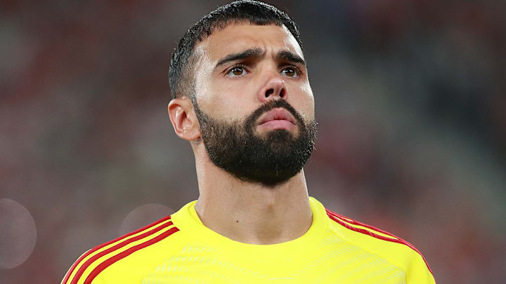 David Raya