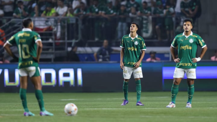 Palmeiras v Botafogo - CONMEBOL Libertadores Cup 2024