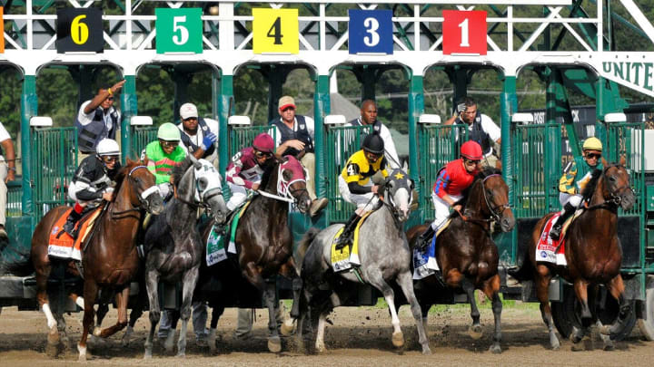 Horse Racing Picks from Saratoga on Saturday, Aug. 13. Bet at TVG and FanDuel Racing. 