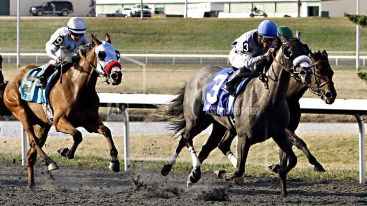 Horse Racing Picks from Turfway Park including Jeff Ruby Steaks Kentucky Derby prep race on Saturday, March 25.