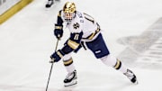 Notre Dame forward Danny Nelson (11) skates with the puck during the Michigan State-Notre Dame NCAA hockey game on Friday, February 02, 2024, at Compton Family Ice Arena in South Bend, Indiana.