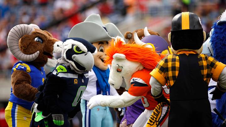 Las mascotas de la NFL, en plena convivencia. Las mascotas de la NFL, en plena convivencia.