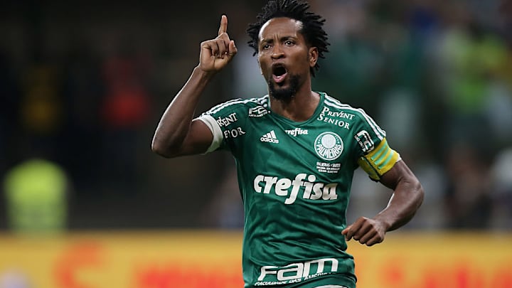 Ze Roberto