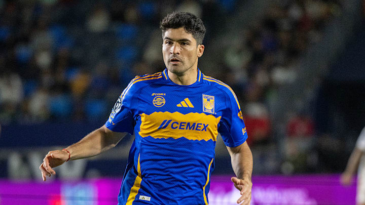 Nicolás Ibáñez