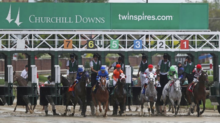Hit Show odds, history and predictions for the 2023 Kentucky Derby.