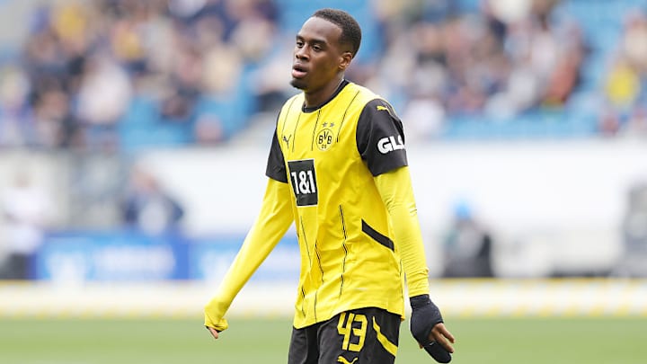 TSG 1899 Hoffenheim v Borussia Dortmund - Bundesliga