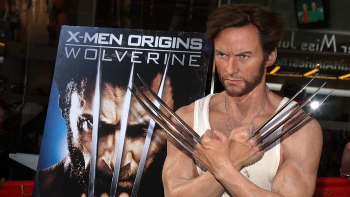 Hugh Jackman's "Wolverine" Wax Figure Receives A Manicure