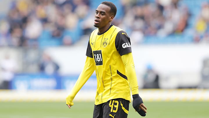 TSG 1899 Hoffenheim v Borussia Dortmund - Bundesliga