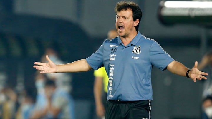 Fernando Diniz Flamengo Renato Gaúcho 