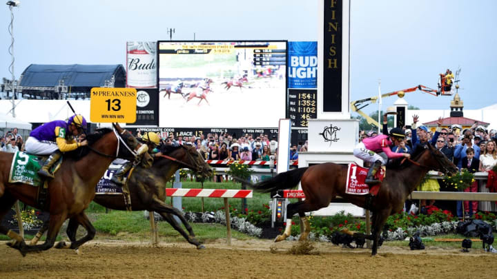 Dark Horses to win 2023 Preakness Stakes, 