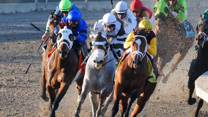 Kentucky Derby prep races at Fair Grounds on March 25, 2023 / Louisiana Derby. Kentucky Derby prep races at Fair Grounds on March 25, 2023 / Louisiana Derby.