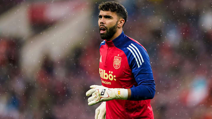 David Raya