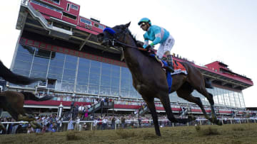 Il Miracolo odds, history and predictions for the 2023 Preakness Stakes.