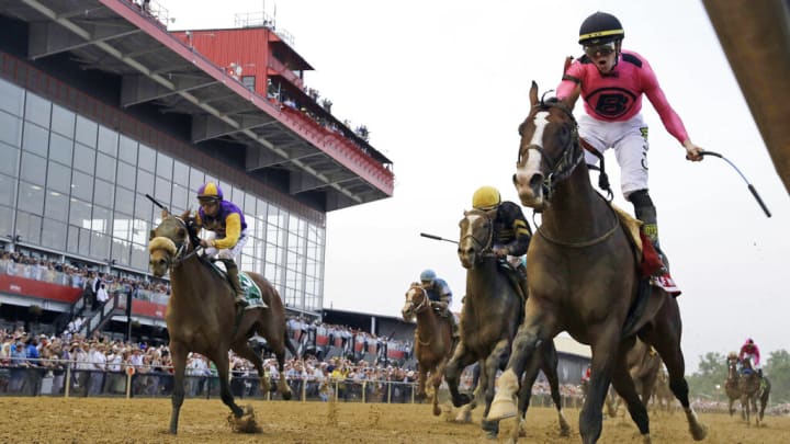 Horse odds, jockeys and trainers for the 2023 Preakness.