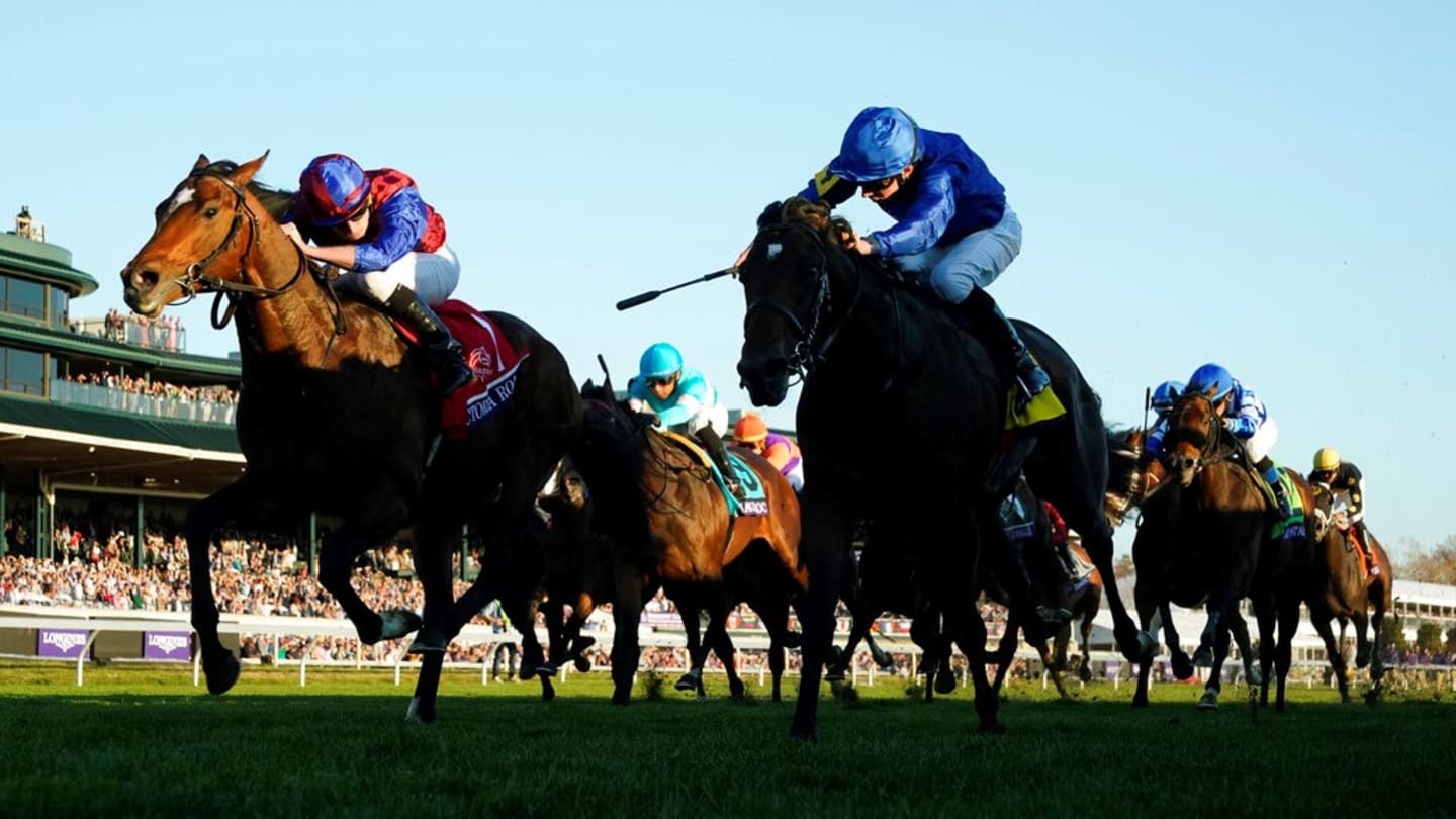 Breeders' Cup 2022 Mile Picks at Keeneland on FanDuel Racing