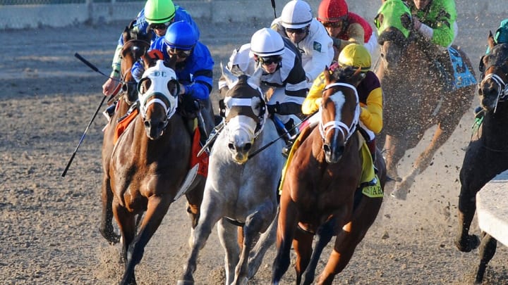 Horse Racing Picks from the Fair Grounds on Saturday, March 25 including the $1 million Louisiana Derby prep on the Road to the Kentucky Derby. 